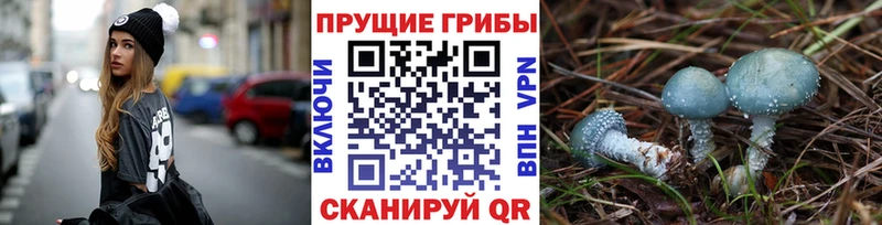 что такое наркотик  Абдулино  Псилоцибиновые грибы ЛСД 